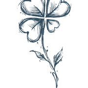 Montez logo